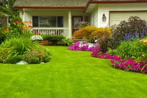 Design-Build Landscaping