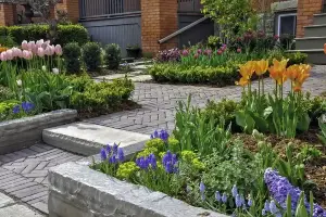 Garden Design & Planting