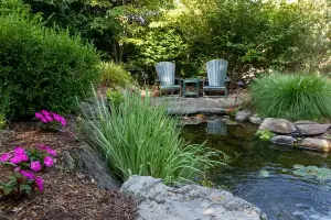 Water Features